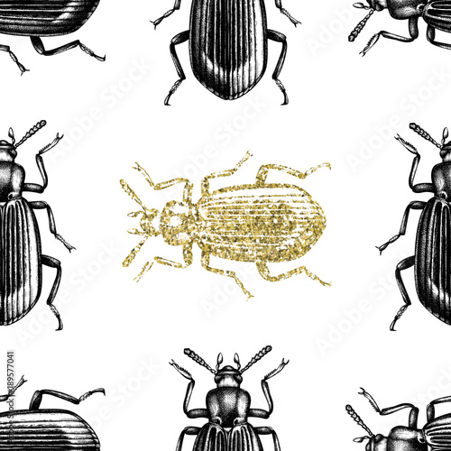 Darkling beetle seamless pattern. Black and gold bugs on white background. Hand drawn insects illustrations collection