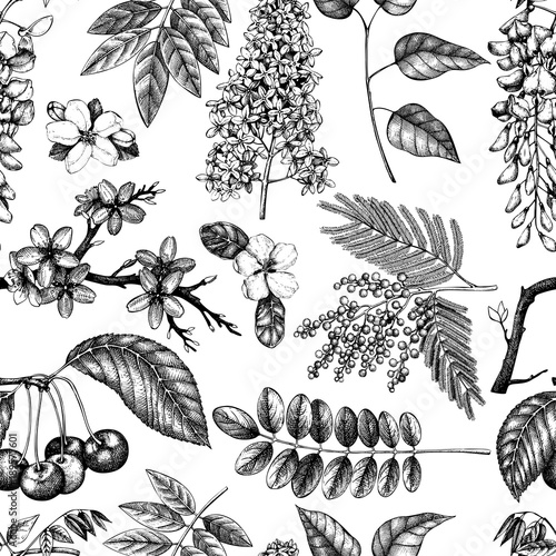 Vector background with hand drawn blossoming trees illustration. Spring flowers sketch collection. Floral seamless pattern