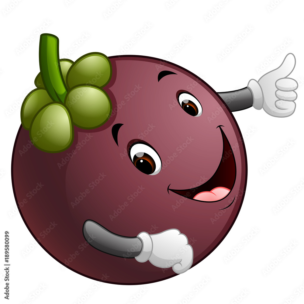 Fototapeta premium mangosteen with face