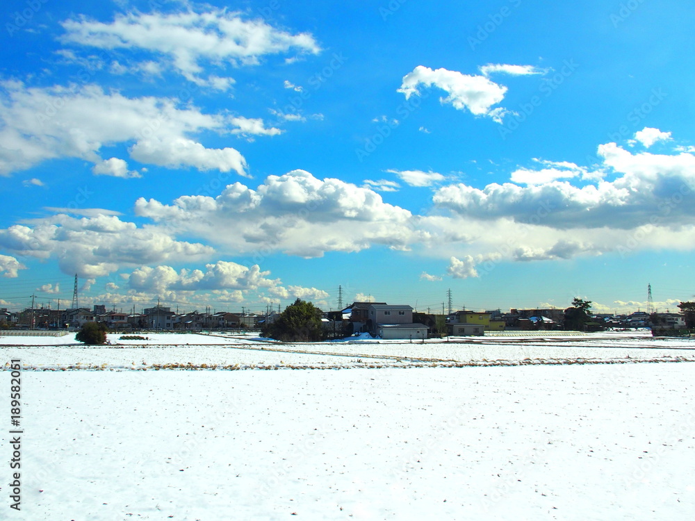 雪のある田んぼ風景