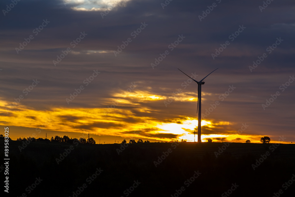 Obraz premium Wind turbines in the evening