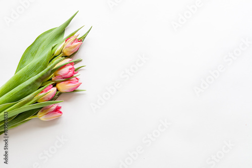 Fototapeta Naklejka Na Ścianę i Meble -  Spring white background with flowers