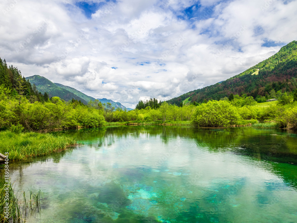 zelenci Slowenien