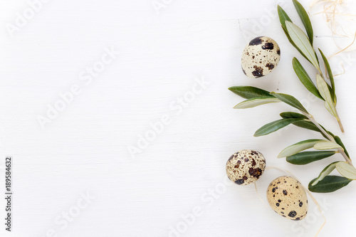 Easter concept. Easter frame for your banner with olive tree branches and quail eggs on white wooden background photo