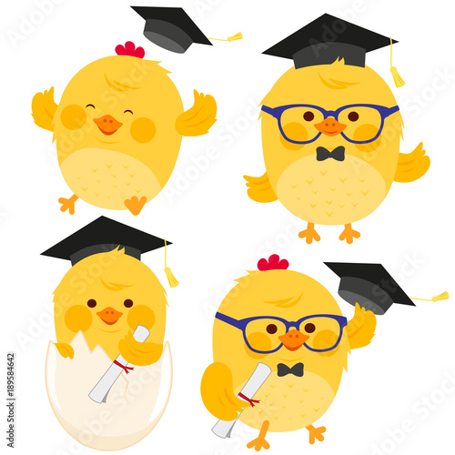 Cute chicken students with graduation hats and diplomas. Vector illustration