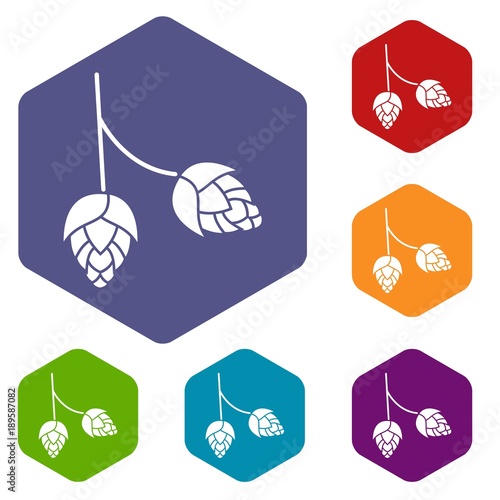 Branch of hops icons set