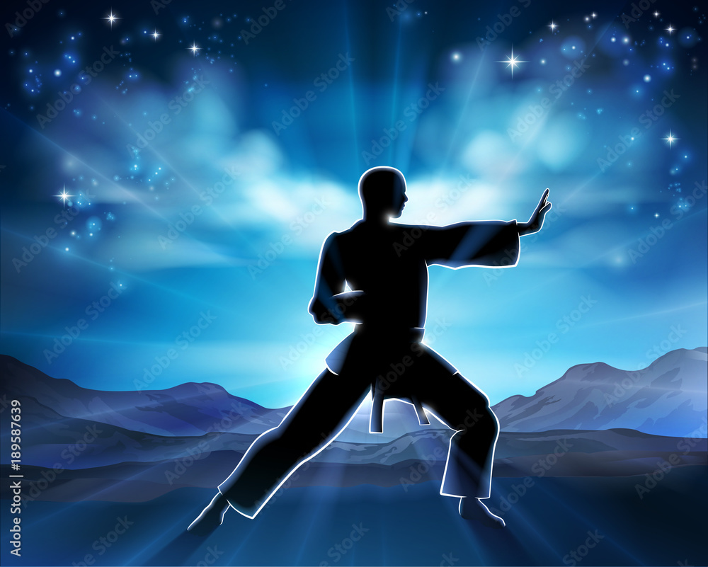 Karate Kung Fu Man Silhouette Concept
