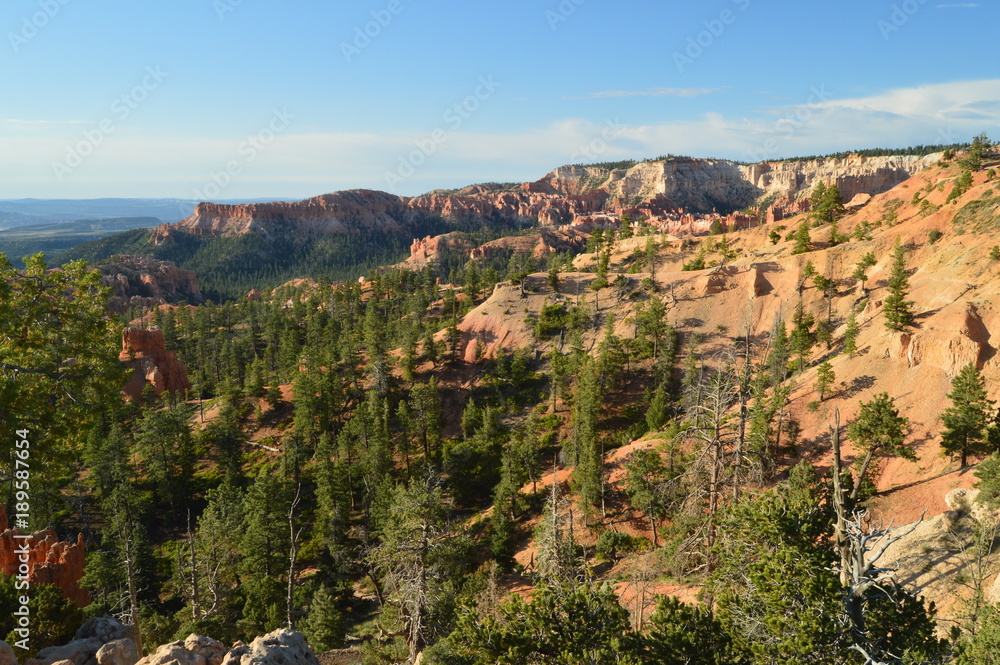 Leafy Forests Of Pines And Firs In Bryce Canyon Formations Of Hodes. Geology. Travel.Nature. June 25, 2017. Bryce Canyon. Utah. Arizona. USA EEUU.