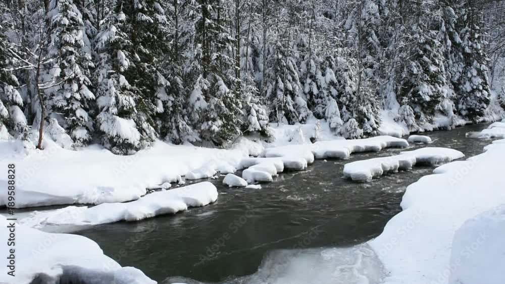 Running water of a small river between floes in winter time, with powdered snow on the branches of fir trees, in the background Running water of a small river between floes in winter time, with powdered snow on the branches of fir trees, in the background