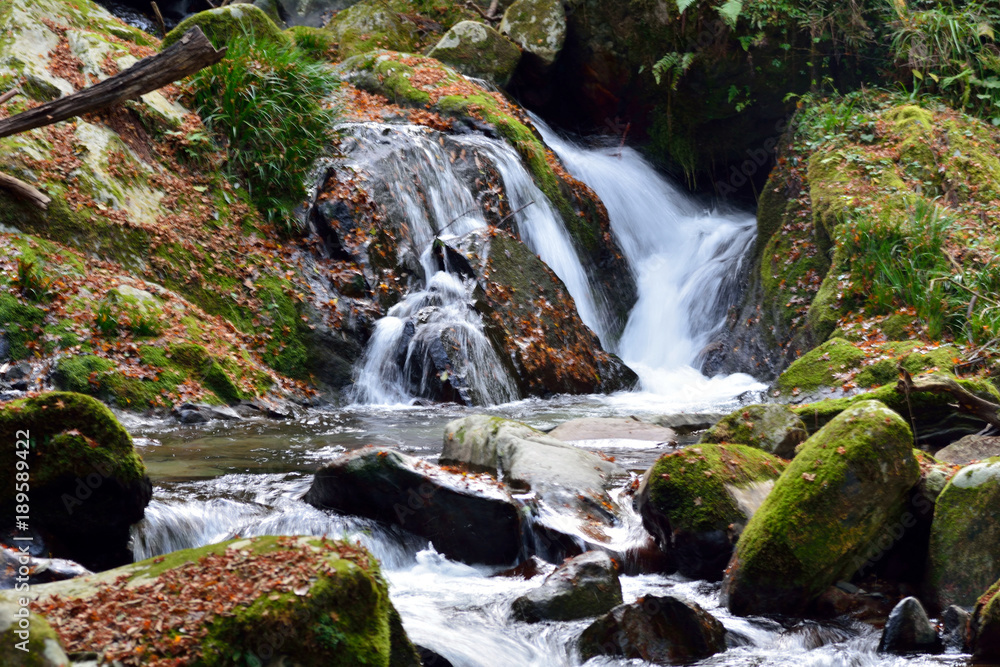 Stream with many rock in mountain in Fukuoka city, JAPAN. Stream with many rock in mountain in Fukuoka city, JAPAN.