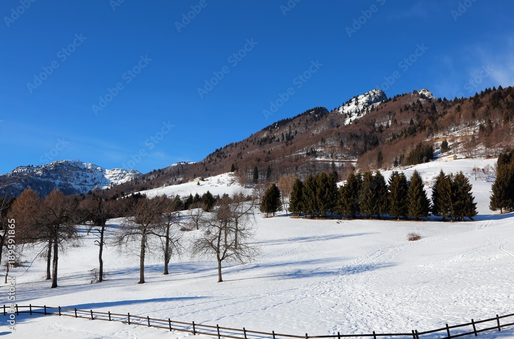 high Mountain called SPITZ with snow in winter  in Northern Italy
