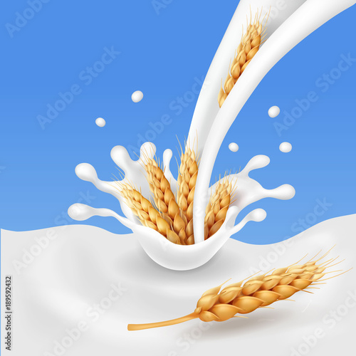 Cereals and yogurt, wheat ears splashing milk realistic 3d vector