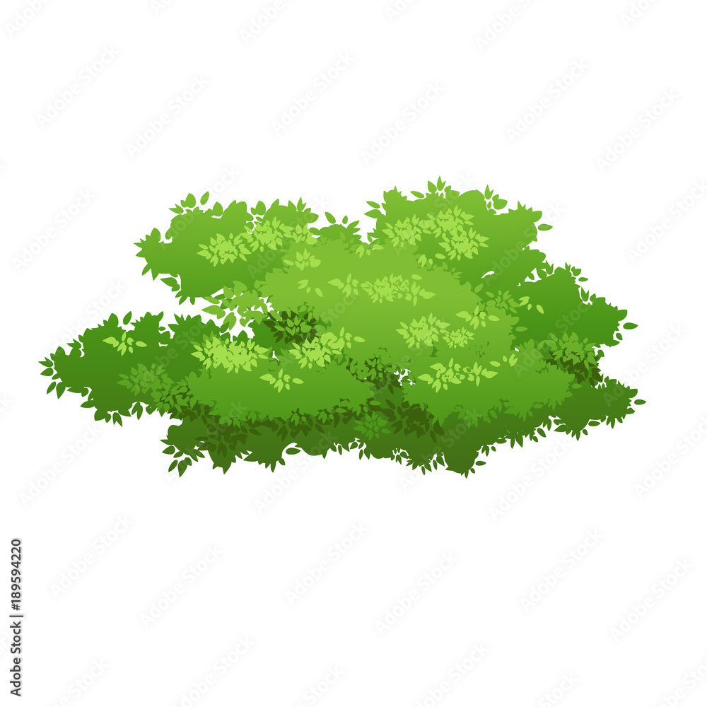 Green bush image Green bush image