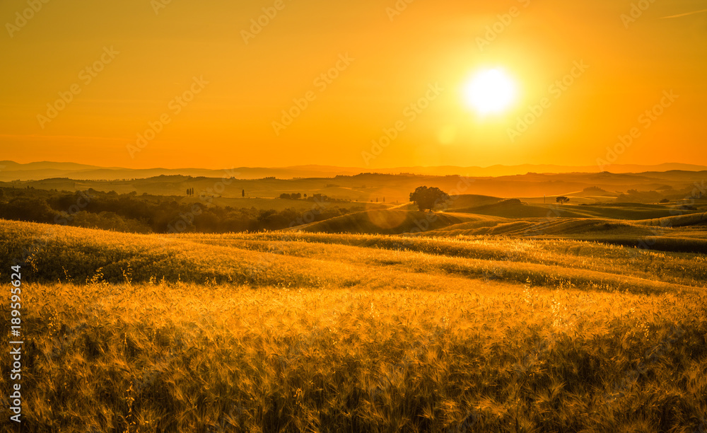 Golden tuscan sunset