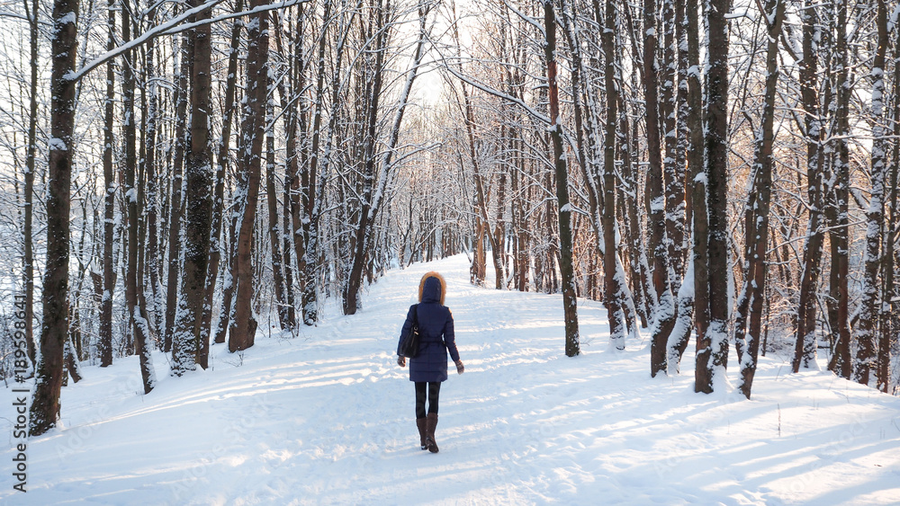 People walk in winter Park. Winter landscape with people
