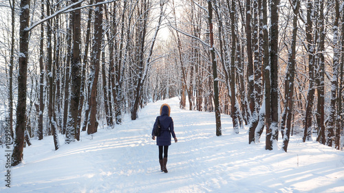 People walk in winter Park. Winter landscape with people 