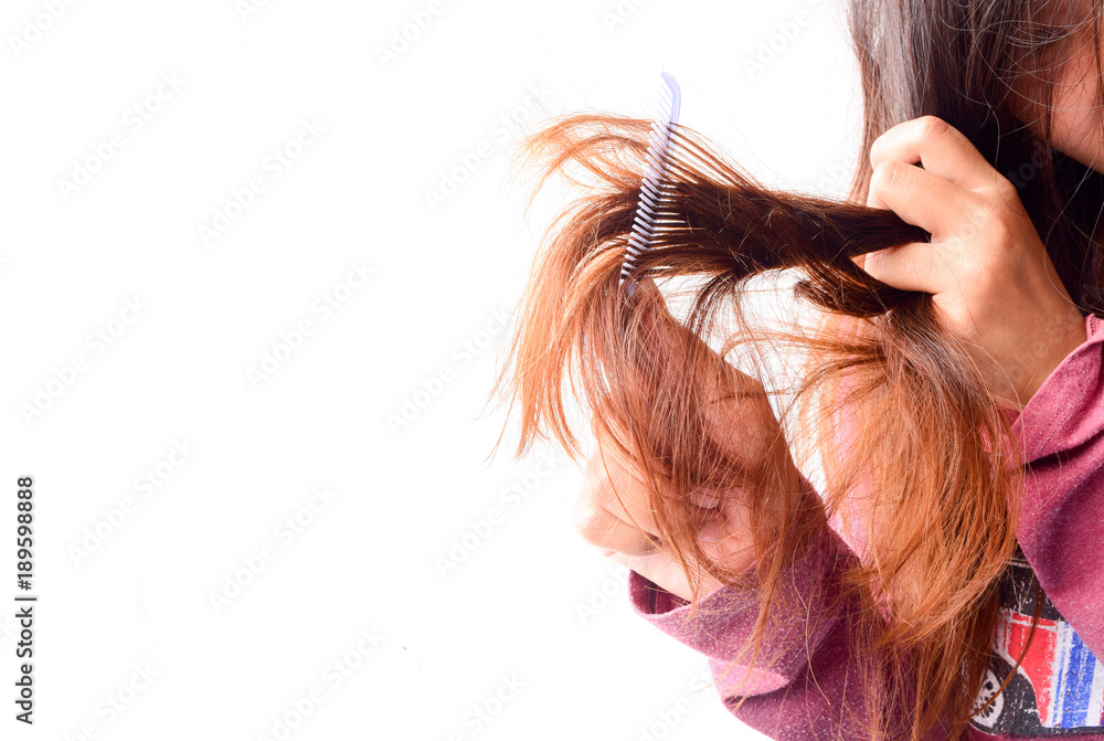 Obraz premium Combing with brush and pulls long hair. Daily preparation for looking nice, Long Disheveled Hair,Holding Messy Unbrushed Dry Hair In Hands. Hair Damage, Health And Beauty Concept.