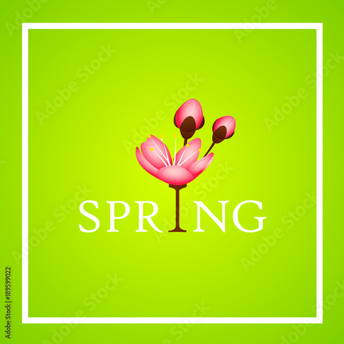 spring schriftzug kirschblüte grün