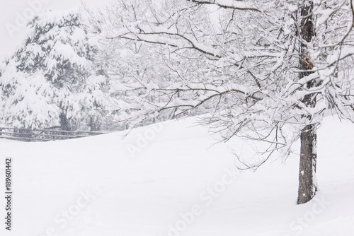 Brunico under a heavy snowfall