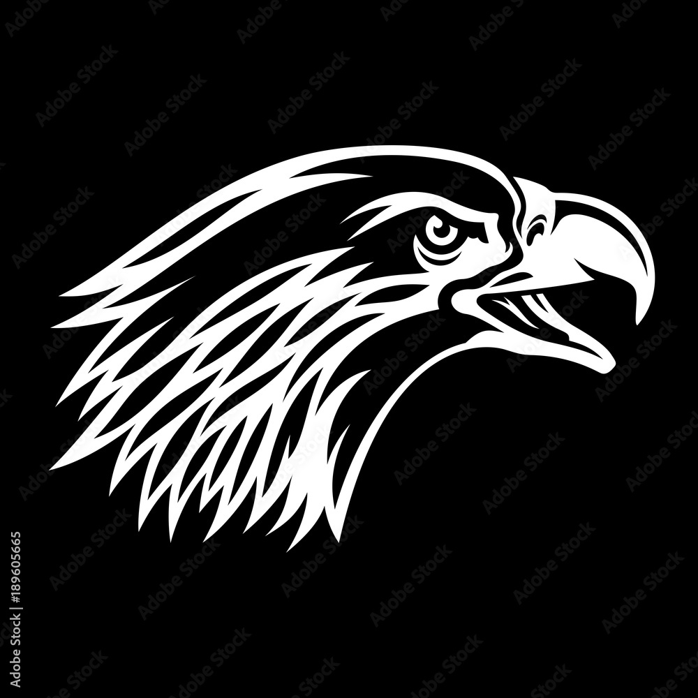 Fototapeta premium Eagle 008