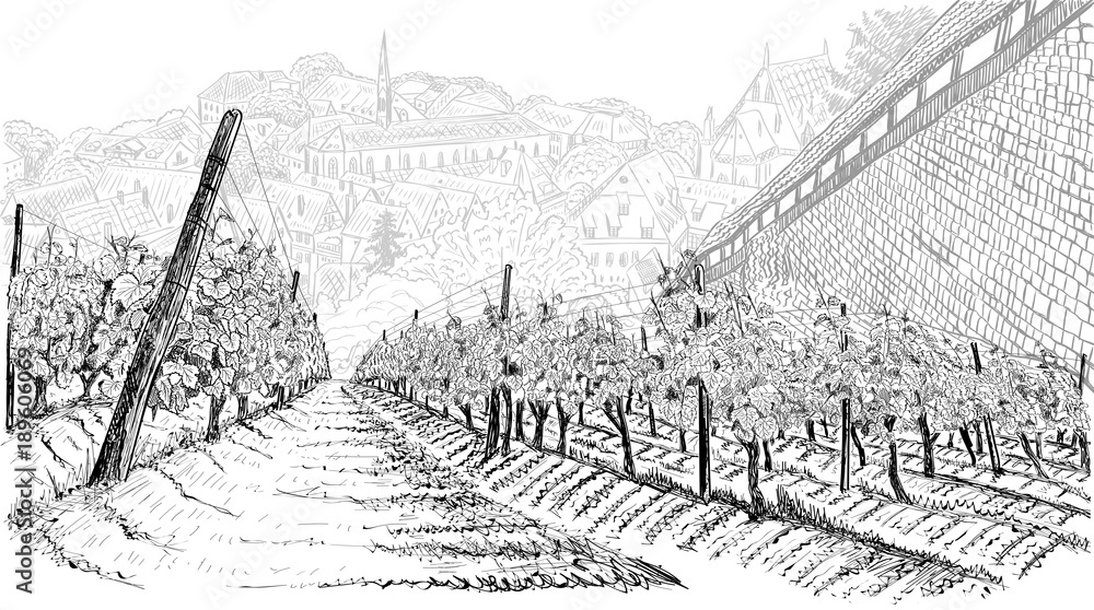 Vineyard landscape with old town in the valley and castle wall. Hand drawn sketch vector illustration on white