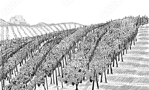 Vineyard landscape with building on the hill. Hand drawn sketch vector illustration on white