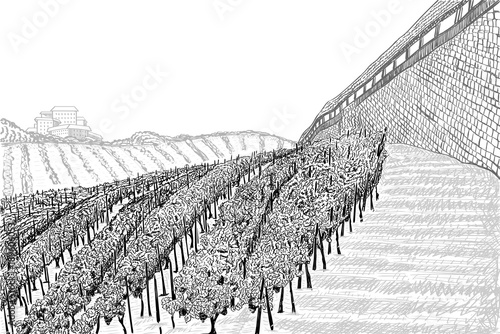 Vineyard landscape with building on the hill and castle wall. Hand drawn sketch vector illustration on white
