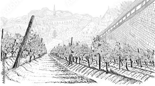Vineyard landscape with old town in the valley and castle wall. Hand drawn sketch vector illustration on white