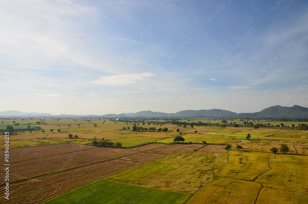 Fields and beautiful sky Thailand