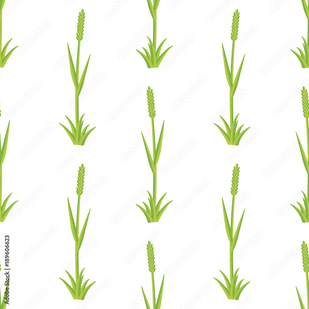 Fresh grass seamless vector pattern Fresh grass seamless vector pattern