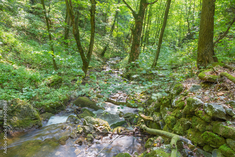 Slovakia - The creek in Zadielska valley in national park Slovensky Kras.