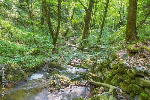 Slovakia - The creek in Zadielska valley in national park Slovensky Kras.