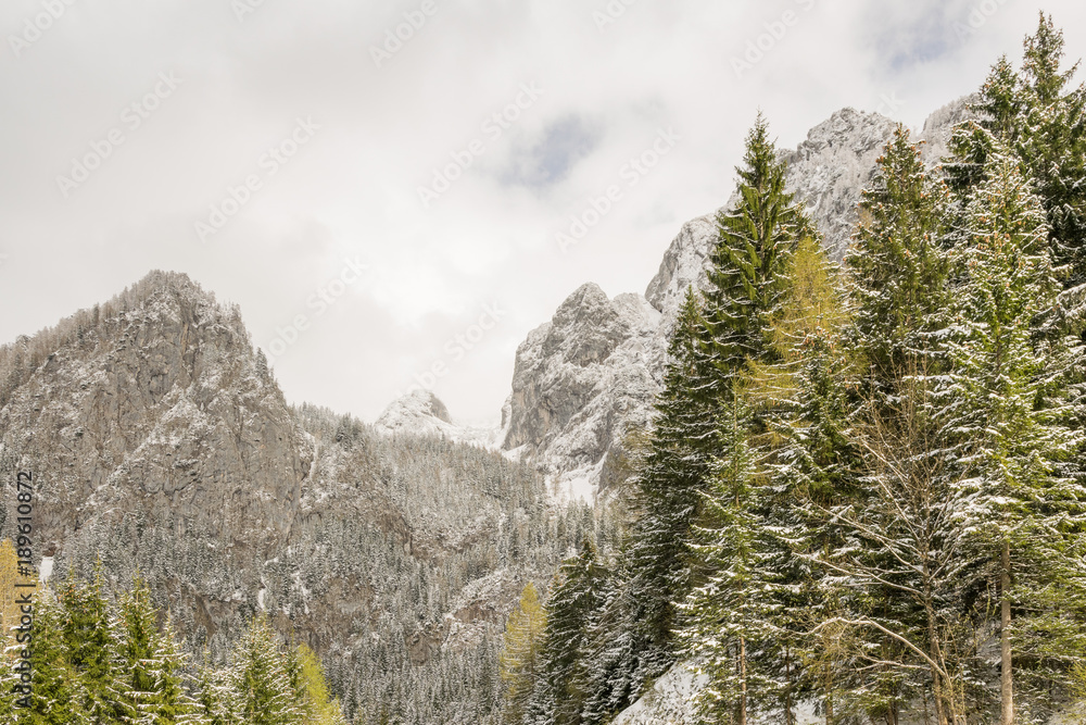 Berge mit Bäumen und Schnee in den Berchtesgadener Alpen im Frühling Berge mit Bäumen und Schnee in den Berchtesgadener Alpen im Frühling