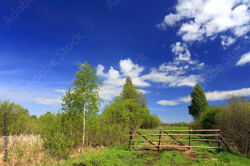 Fototapeta Naklejka Na Ścianę i Meble -  Panoramic view of wetlands and meadows with a vintage wooden fence by the Biebrza river in Poland