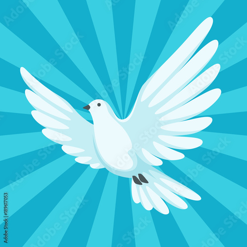 Background with white dove. Beautiful pigeon faith and love symbol