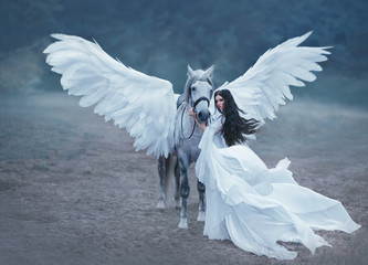 Beautiful, young elf, walking with a unicorn. An unbelievable white dress with long sleeves and a train waving in the wind. Artistic Photography Artistic Photography