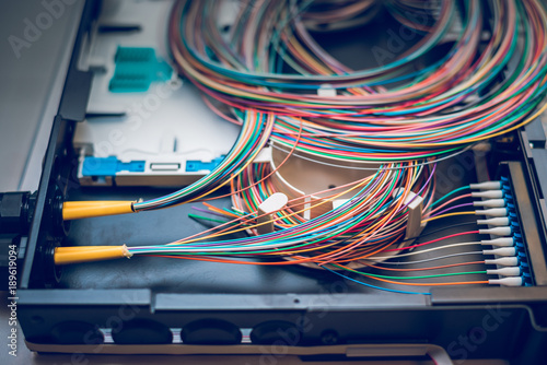 Konstfotografi Fibre optic cables on patch distribution panel