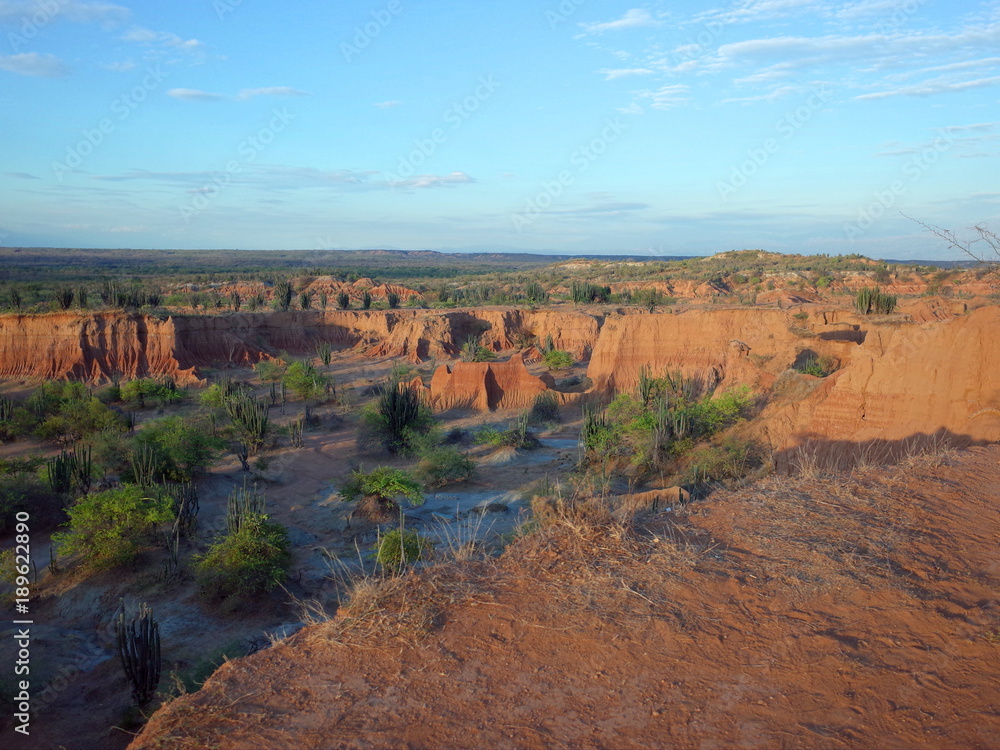 The Martian landscape of Cuzco, the Red Desert, part of Colombia's Tatacoa Desert. The area is an ancient dried forest and popular tourist destination.