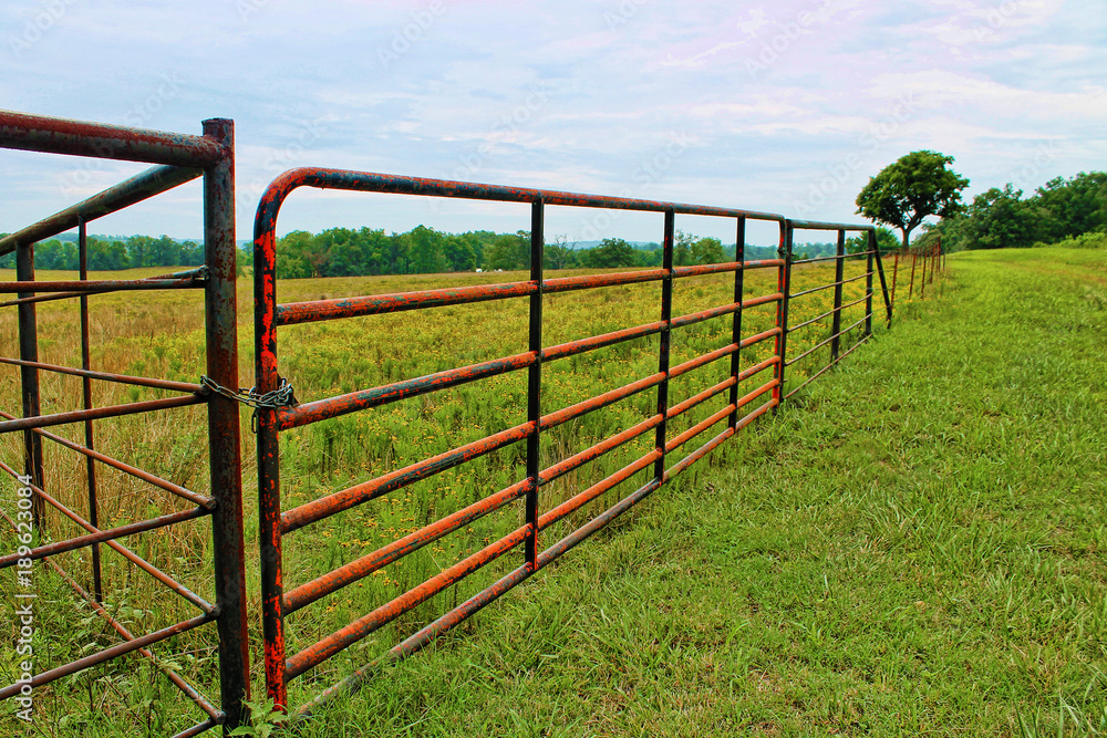 Red metal farm fence across a green pasture