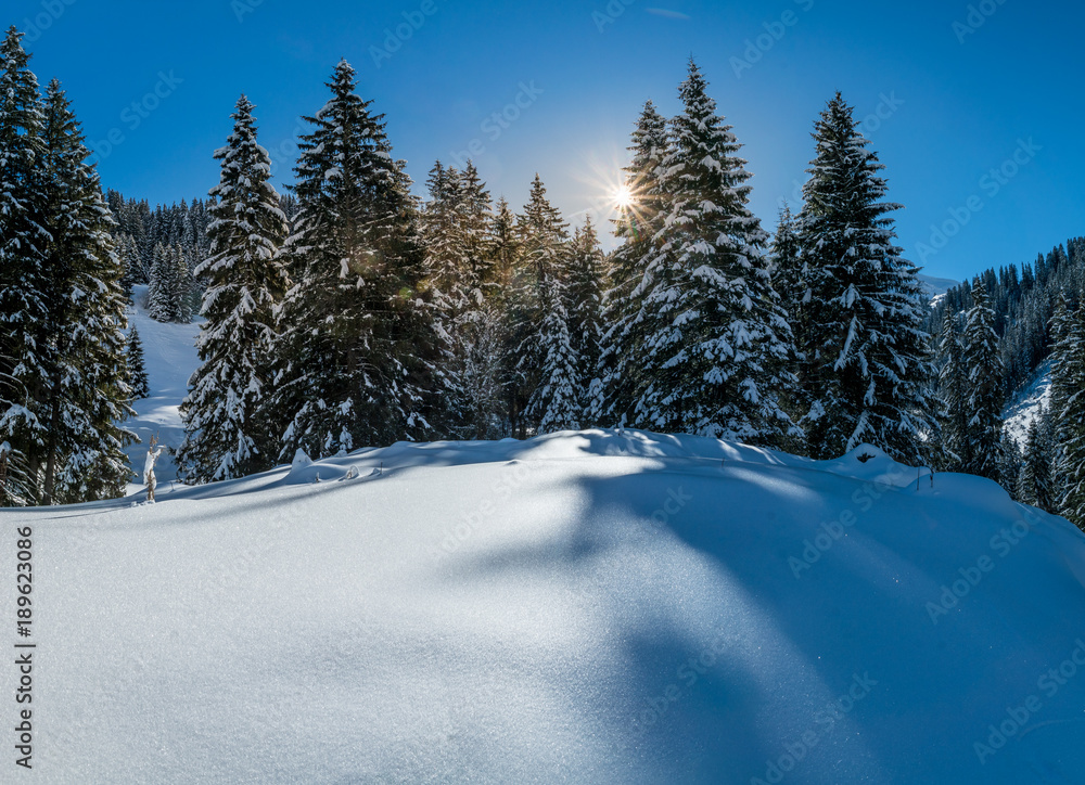 Fototapeta premium Schneeschuhwandern im Diemtigtal, Berner Oberland
