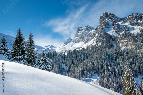 Schneeschuhwandern im Diemtigtal, Berner Oberland © schame87