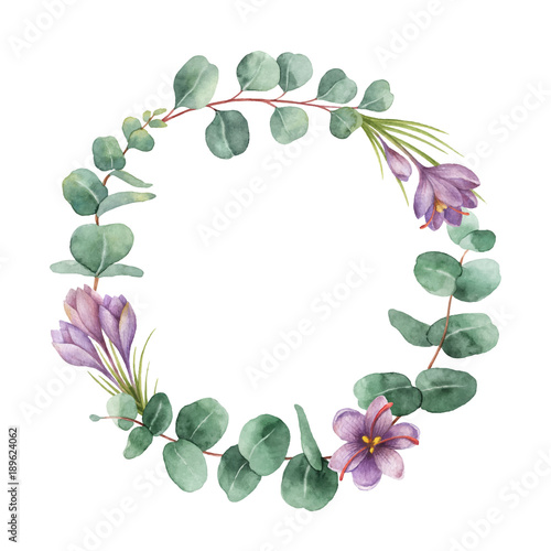 Watercolor vector round wreath with eucalyptus leaves and flowers of saffron.