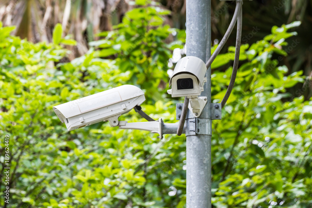 CCTV security camera, in the park with tree background CCTV security camera, in the park with tree background