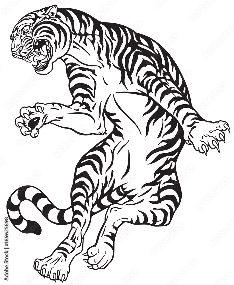 angry tiger in the jump. Black and white tattoo style vector illustration angry tiger in the jump. Black and white tattoo style vector illustration
