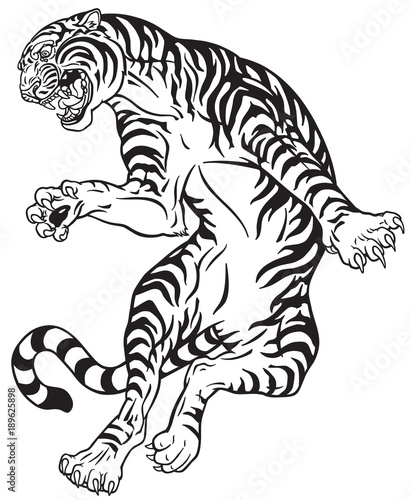 angry tiger in the jump. Black and white tattoo style vector illustration