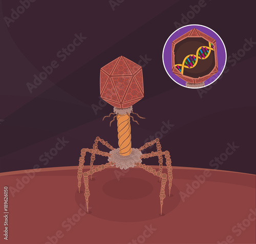 Bacteriophage Virus