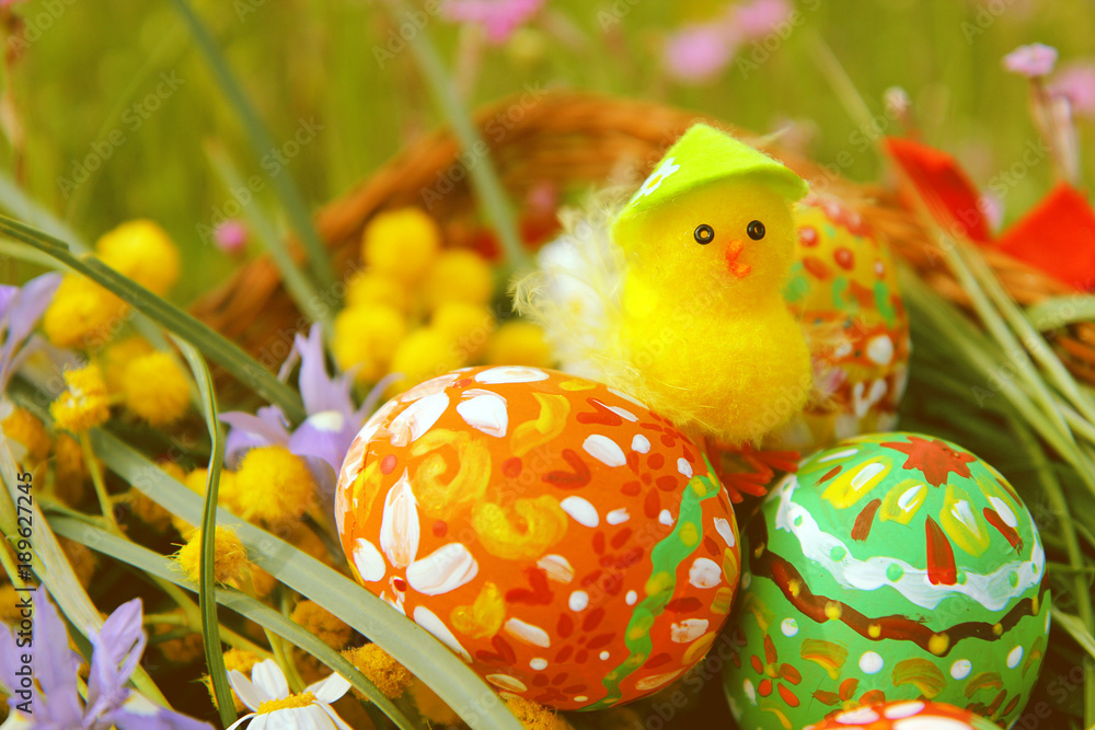 Hand painted colorful Easter eggs, cute little easter chicken, bright yellow mimosa branch and wildflowers in the wicker homemade basket with green meadow in the background.