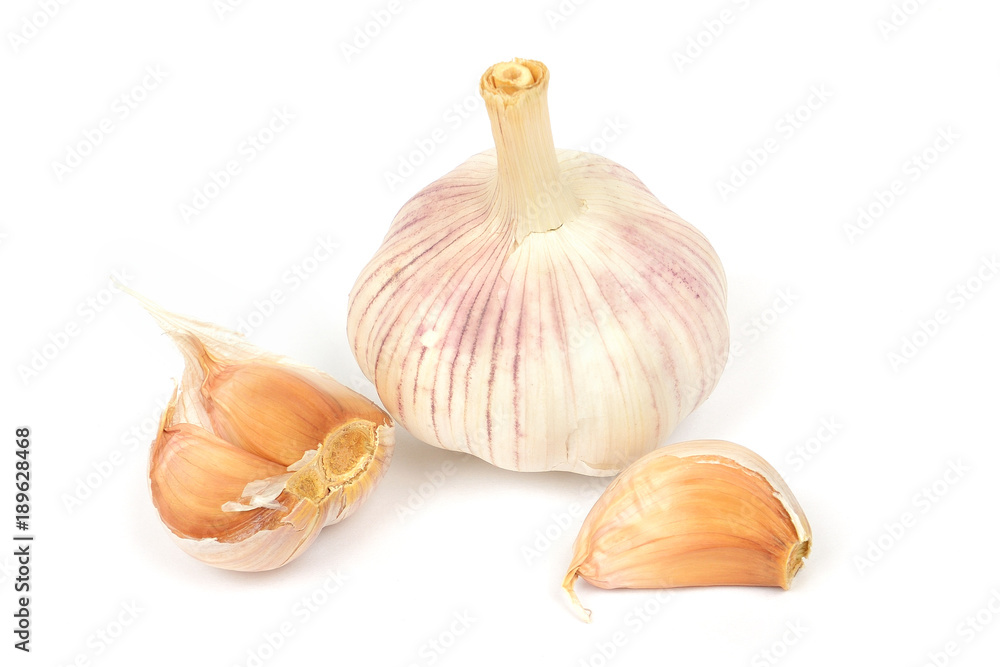 Fototapeta premium Чеснок