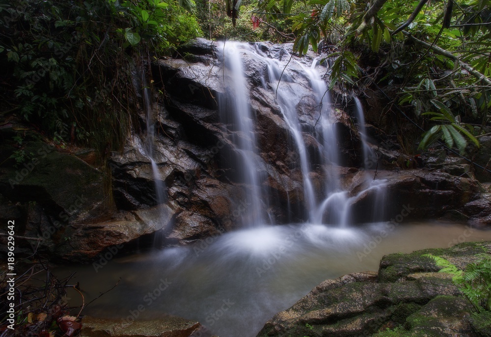 Fototapeta premium wilderness of jungle rainforest with tropical green plants and waterfall cascade.
