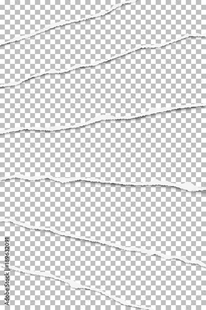 Vector elongated layers of torn transparent paper fragments placed one over another Vector elongated layers of torn transparent paper fragments placed one over another